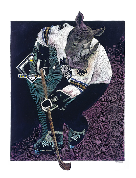 San Jose Rhinos Illustration